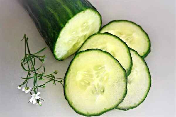 cucumber, vegetables, salad, meal, green cucumber, food, cucumber slices, fresh, juicy, yummy, healthy, cucumber salad, raw food, naturally, vegan, cucumber, cucumber, cucumber, cucumber, cucumber, salad, salad