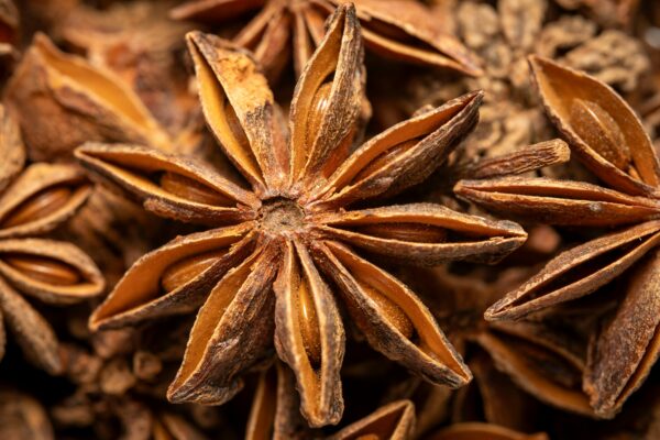 Macro shot showing detailed textures of star anise spice, highlighting its distinct shape and color.