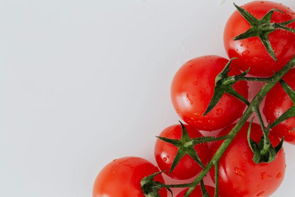 Vibrant fresh cherry tomatoes on vine with water droplets against a white background.