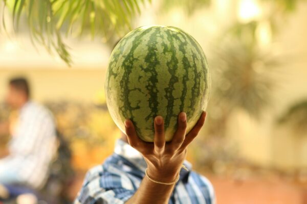 A person holding a large watermelon outdoors with a blurred background, capturing summer vibes.